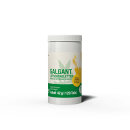 Galgant Lutschtabletten